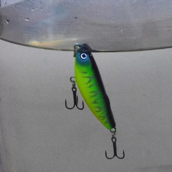 Amostra Flutuante Topwater WDAIREN Pencil 5cm 5.5g - Image 4