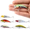 Amostra Jerkbait Pequeno Slow Sinking 6cm 4.9g