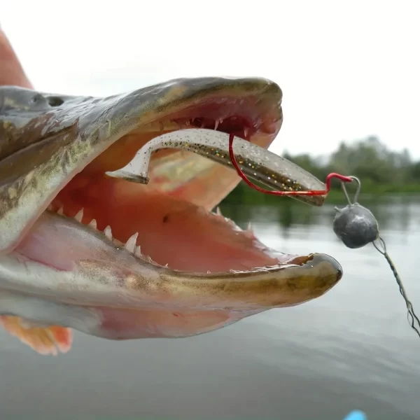 Conjunto de Amostras Softbait Cauda Paddle 50 Unidades em PVC - Image 3