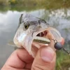 Conjunto de Amostras Softbait Cauda Paddle 50 Unidades em PVC - Image 5