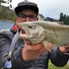 Amostra Jerkbait Minnow de Afundamento Lento Kingdom Kingart 6g–18.6g - Image 6