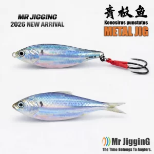 Jig Metálico Slow Fall Konosirus Mr JigginG 10g a 40g para Shore Jigging