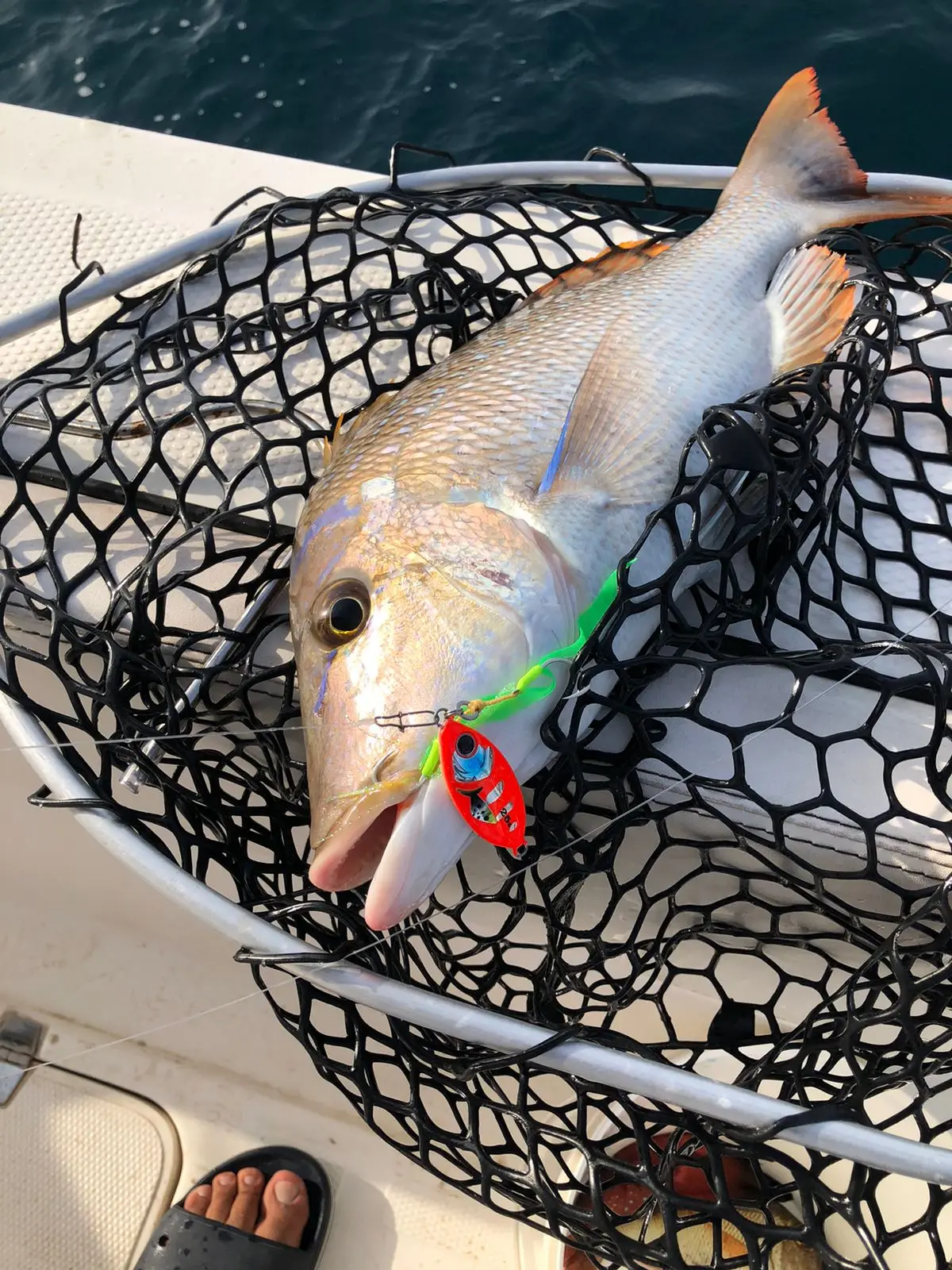 Jig Metálico Shore Cast FSTK 15g 25g 35g 60g para Predadores - Image 2
