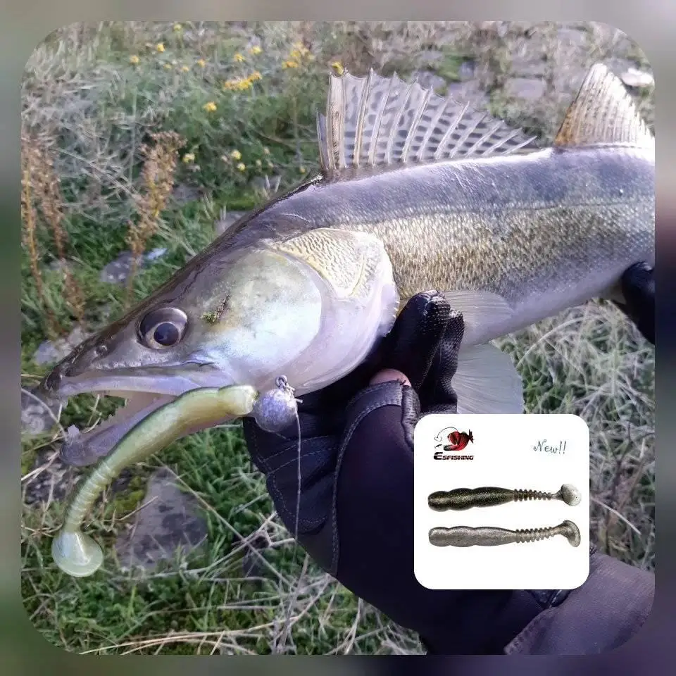 Amostra de Vinil KESFISHING Rock Shiner 50/95/115mm - Image 5