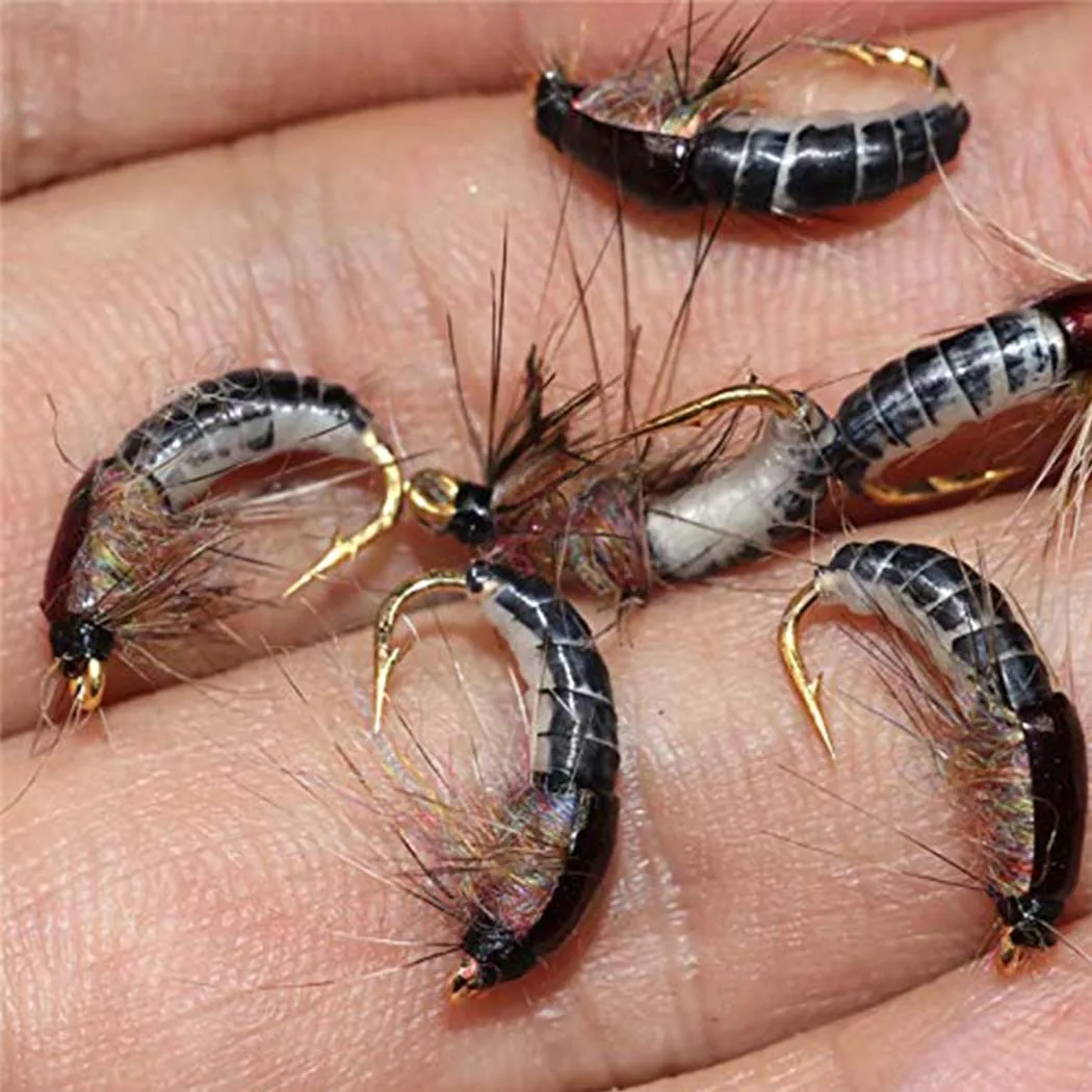 Conjunto 6/12 Ninfas Caddis Qievcrme nº10 para Pesca à Mosca - Image 4