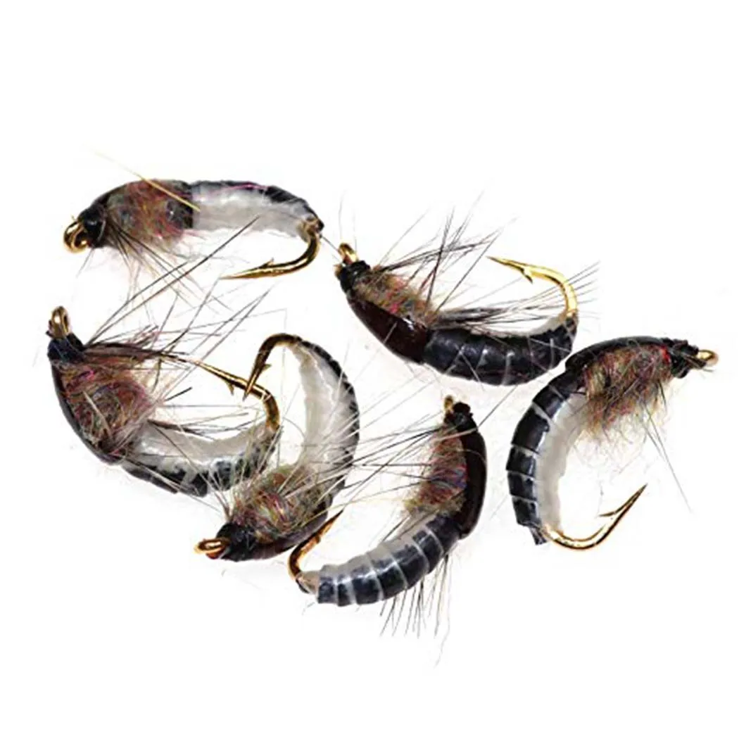 Conjunto 6/12 Ninfas Caddis Qievcrme nº10 para Pesca à Mosca